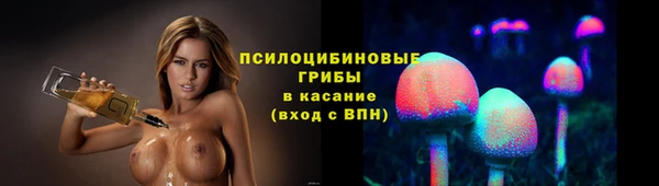 трава Бородино