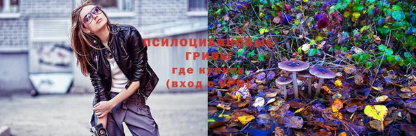 трава Бугульма