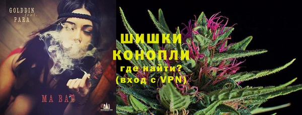 трава Бородино